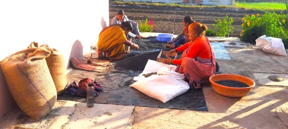 Women farmers field work
